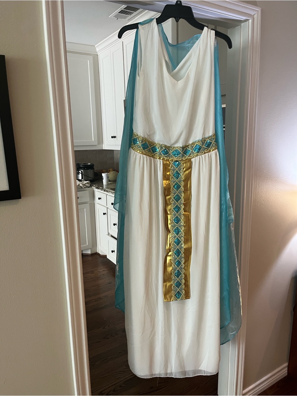 Spirit Halloween Costume  Cleopatra Costume - White, Light Blue & Go